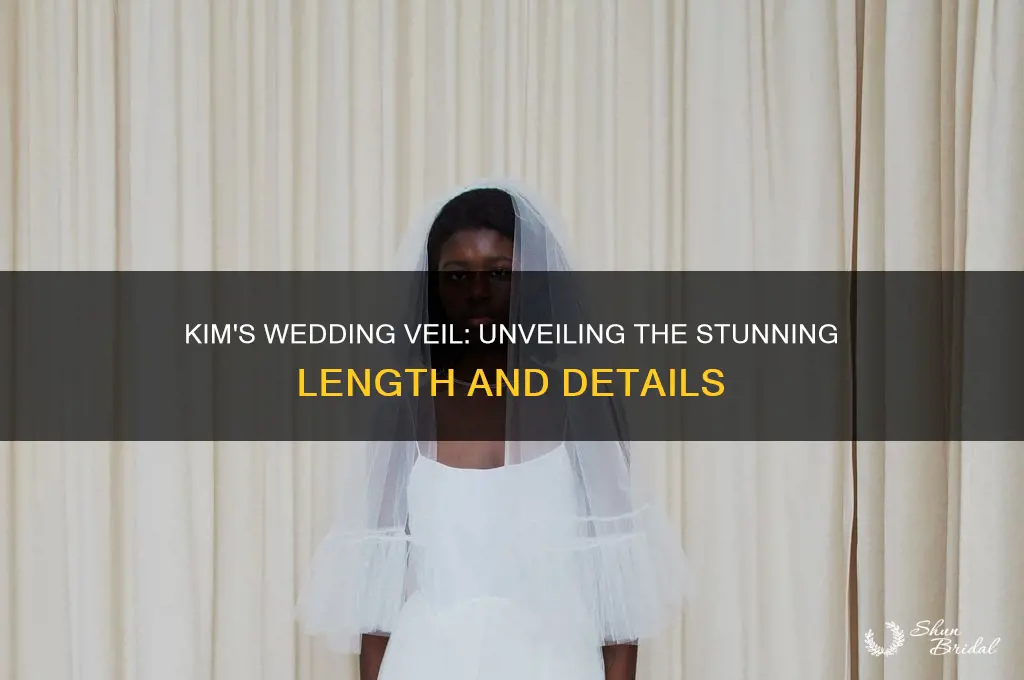 what is the length of kim