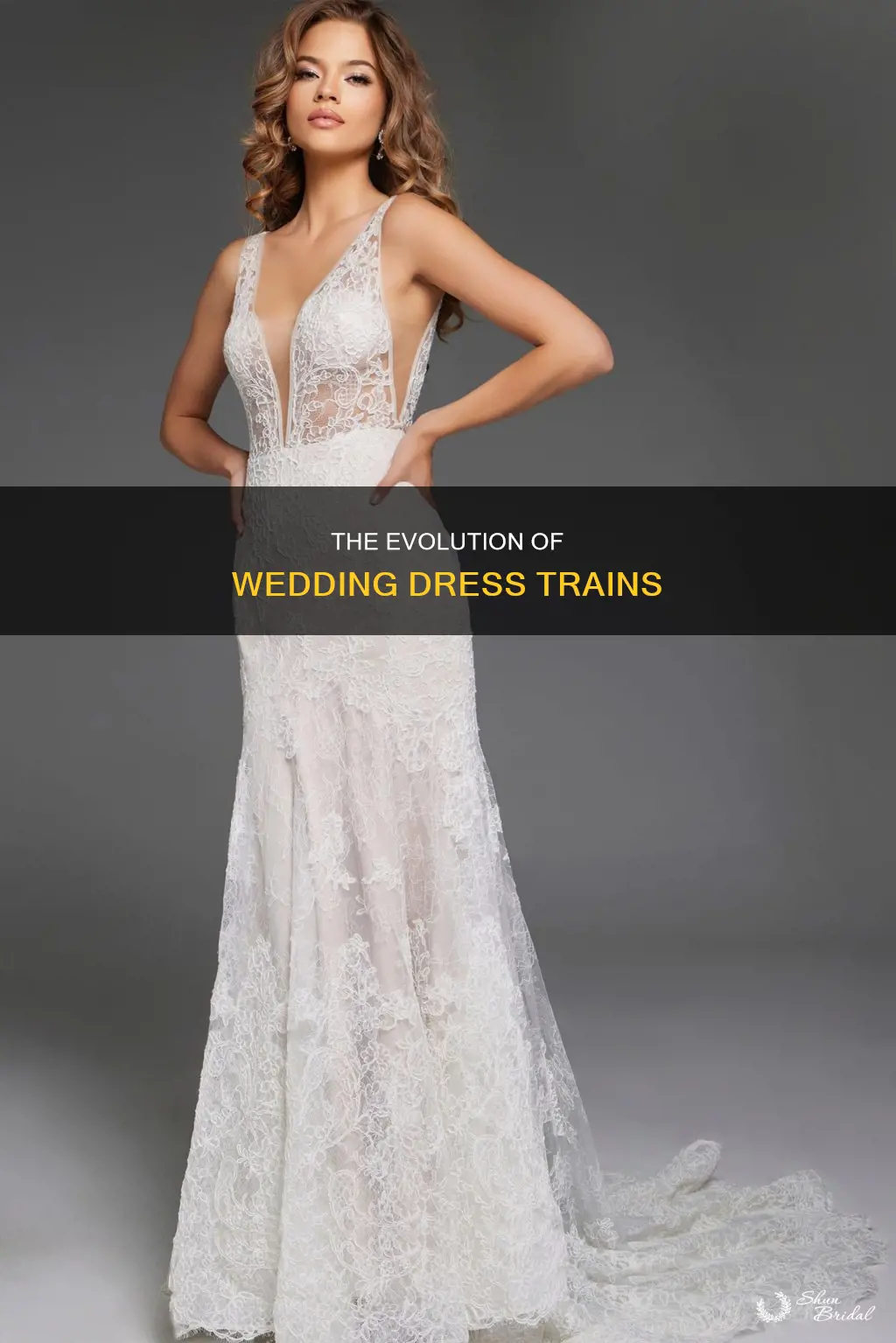 what is the long part of a wedding dress called