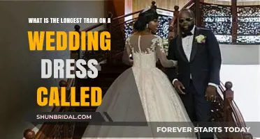 The Longest Train: Wedding Dresses with a Tail