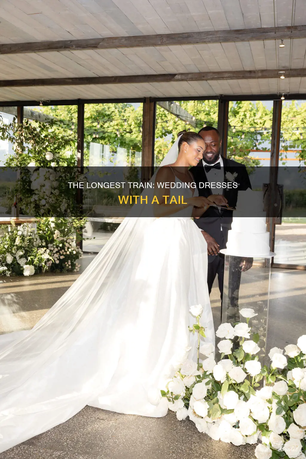 what is the longest train on a wedding dress called