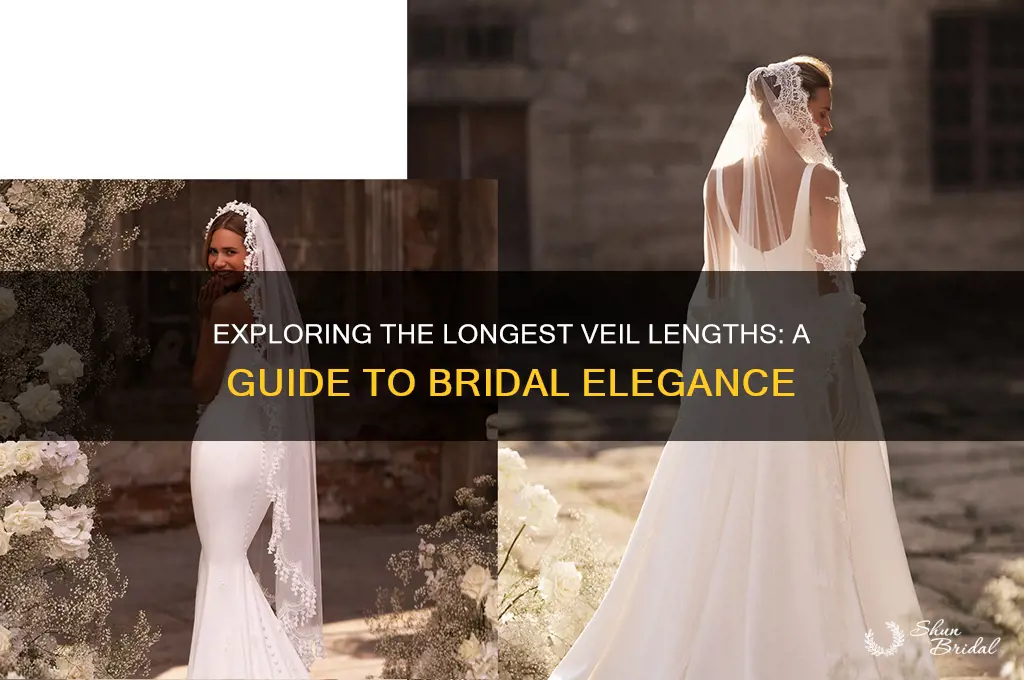 what is the longest veil length