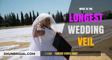 The Longest Wedding Veil Ever: A Record-Breaking Bridal Accessory