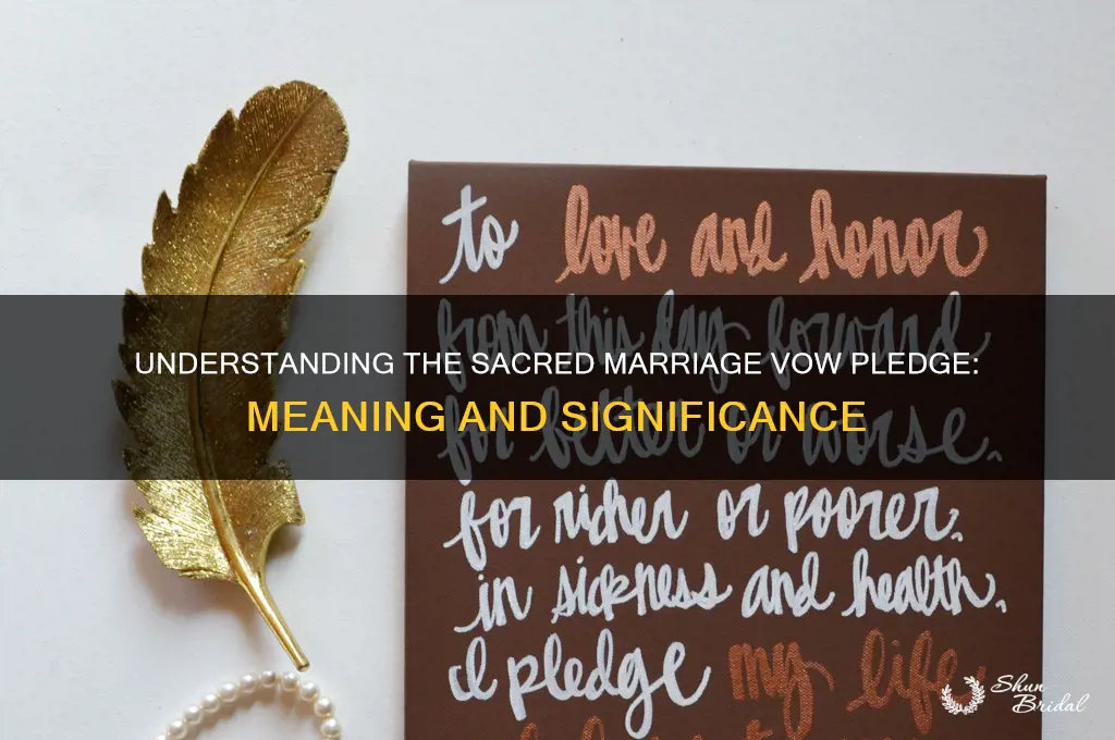 what is the marriage vow pledge