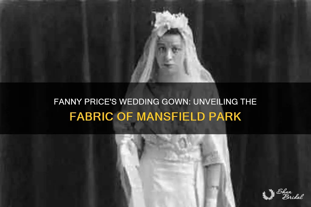 what is the material fanny price