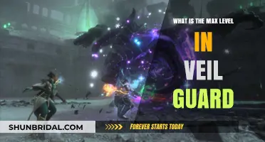 Unveiling Veil Guard's Ultimate Level: A Comprehensive Guide to Max Rank