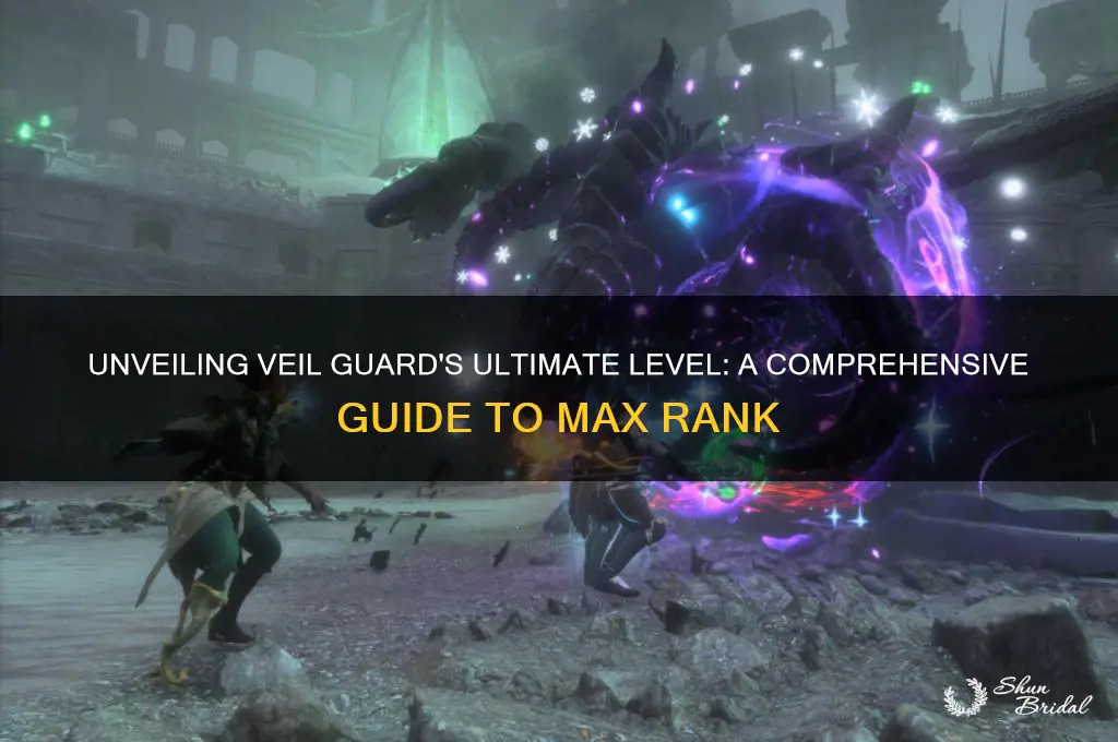 what is the max level in veil guard