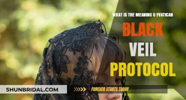 Unveiling the Vatican Black Veil Protocol: Meaning and Significance Explained