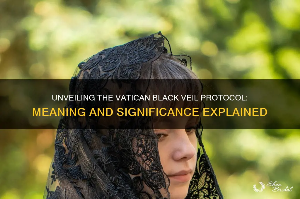 what is the meaning o fvatican black veil protocol
