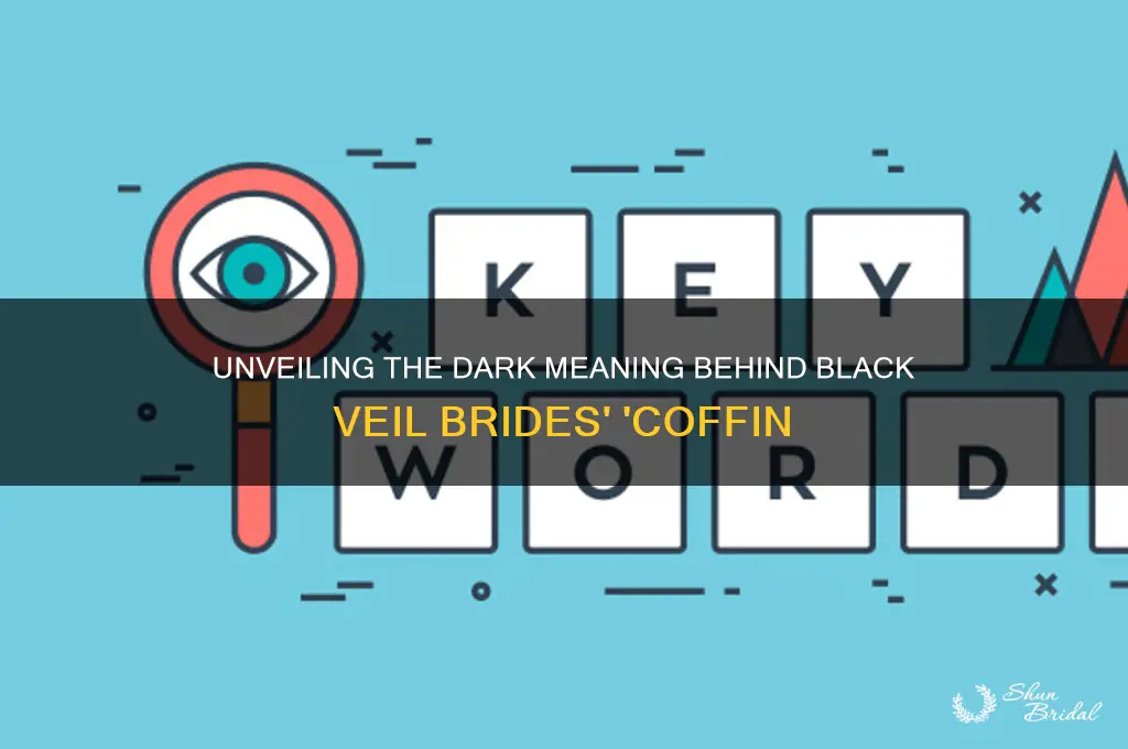 what is the meaning of coffin by black veil brides