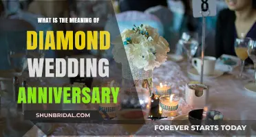 Diamond Wedding Anniversary: Celebrating 60 Years of Love and Commitment