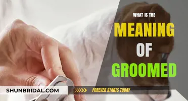 Understanding Grooming: A Comprehensive Guide to Its Meaning and Implications