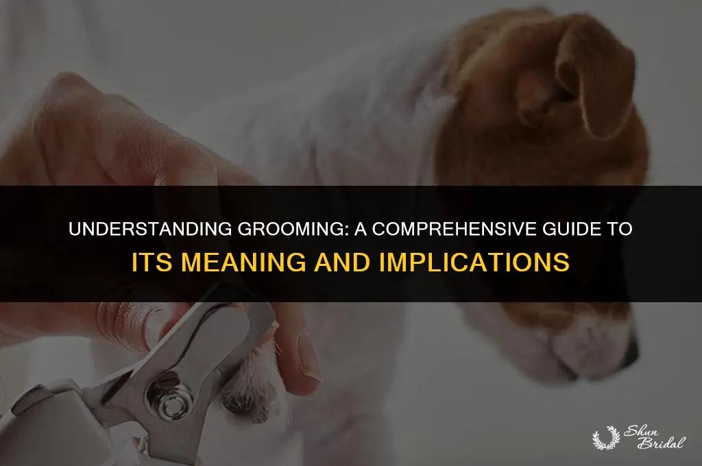 what is the meaning of groomed