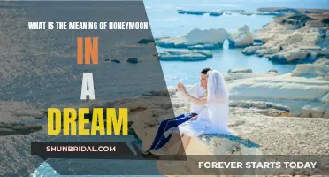 Honeymoon Dream Symbolism: Romance, Relaxation, and Adventure
