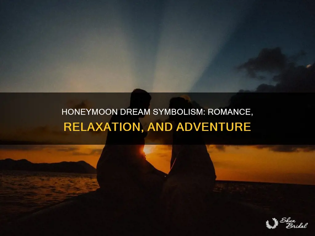 what is the meaning of honeymoon in a dream