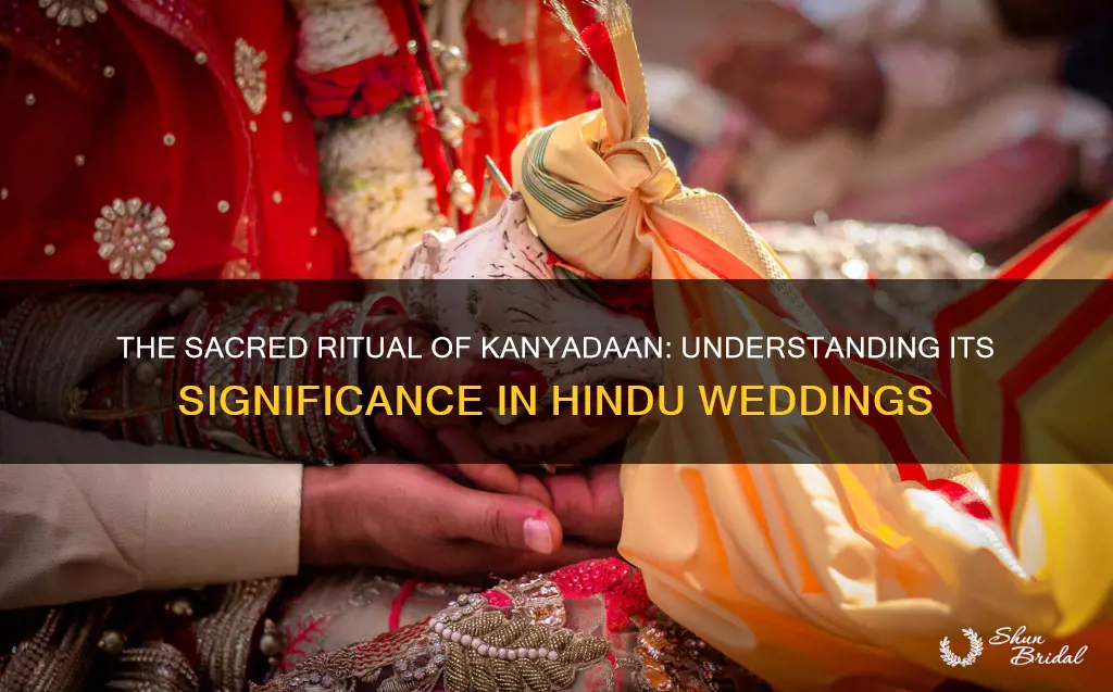 what is the meaning of kanyadaan in hindu wedding