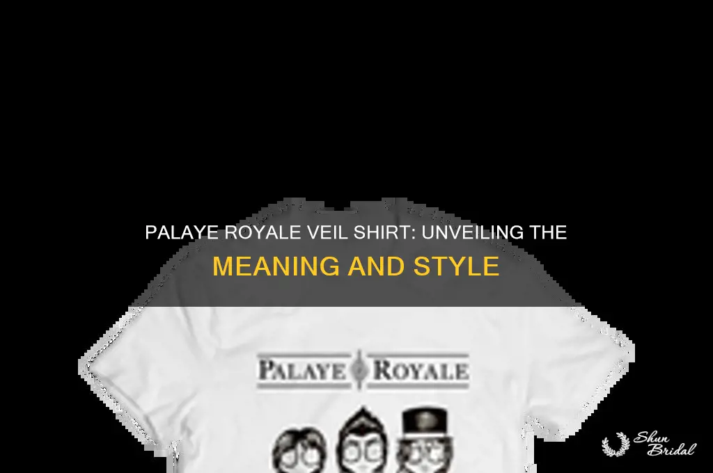 what is the meaning of palaye royale veil shirt