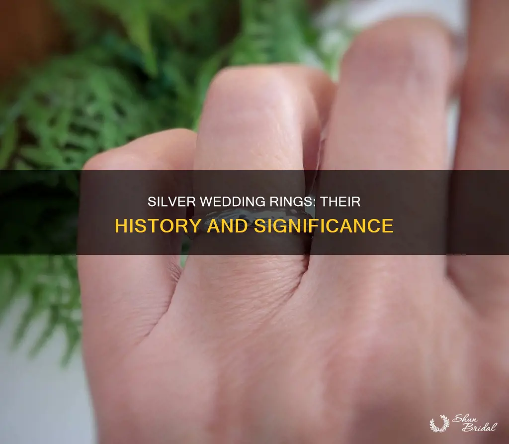 what is the meaning of silver wedding rings
