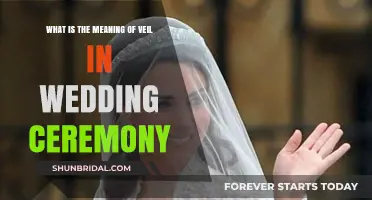 The Symbolic Meaning of the Veil in Wedding Ceremonies