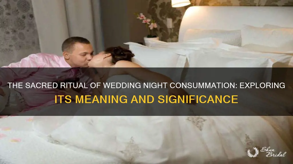 what is the meaning of wedding night consummation