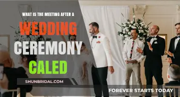 Post-Wedding Gathering: Understanding the Reception Celebration Tradition