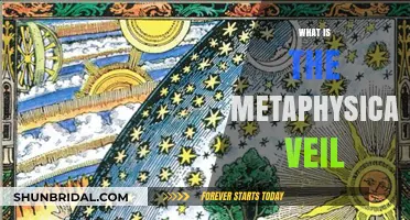 Unveiling the Metaphysical Veil: Exploring Reality Beyond Physical Perception