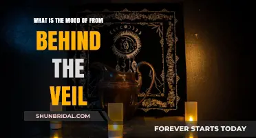 Unveiling the Haunting Mood of 'From Behind the Veil
