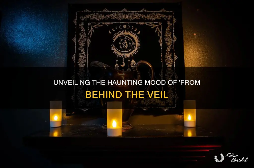what is the mood of from behind the veil