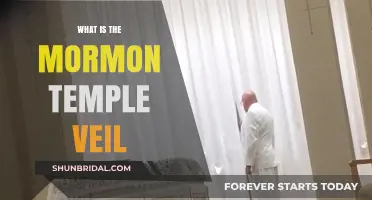 Understanding the Mormon Temple Veil: Symbolism, Purpose, and Significance