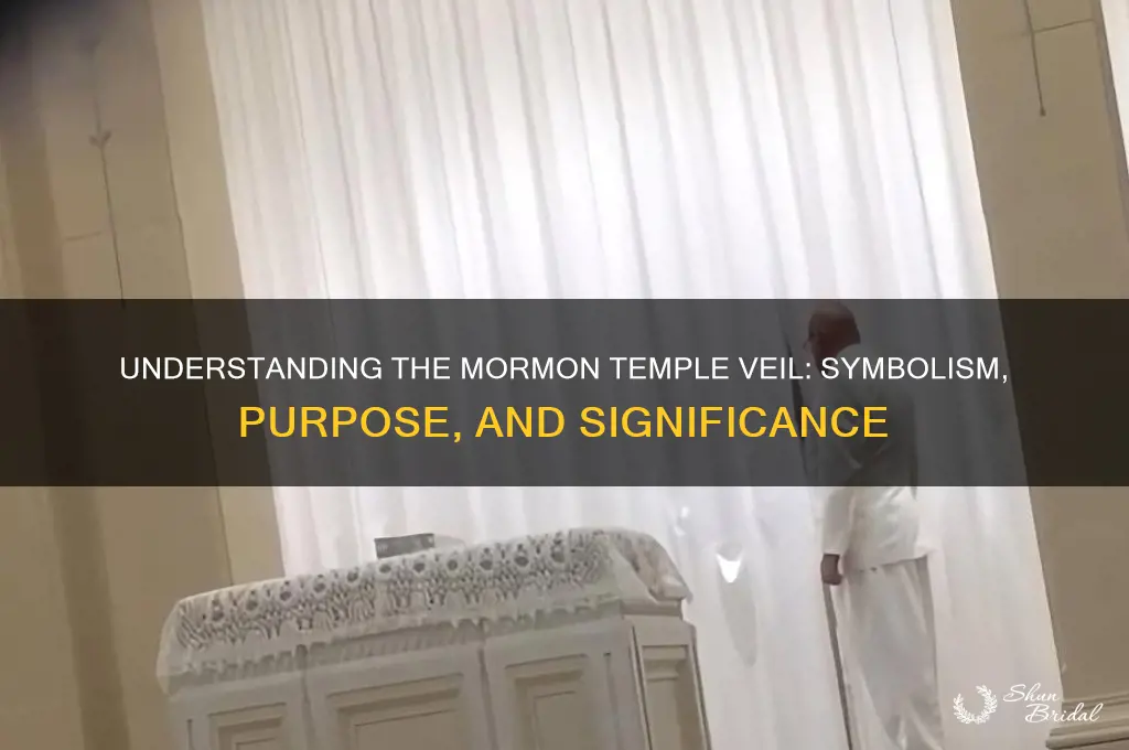 what is the mormon temple veil