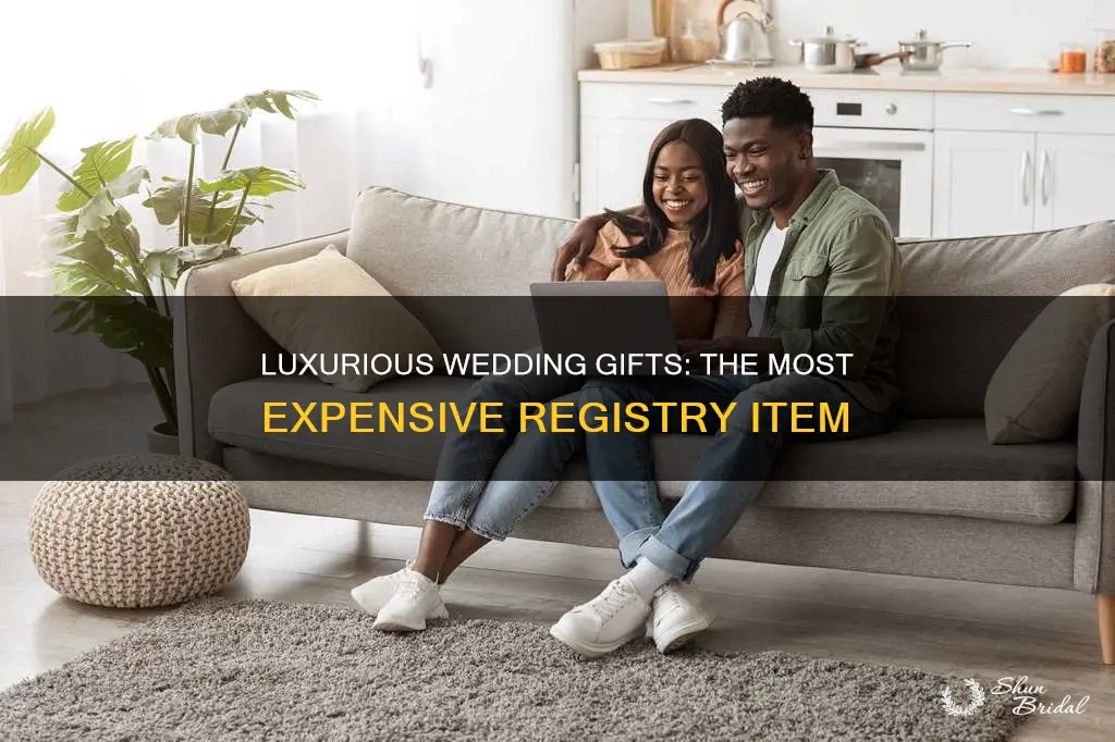 what is the most expensive item on your wedding registry
