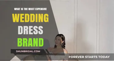 Pricey Wedding Dress Brands: Who's the Costliest?