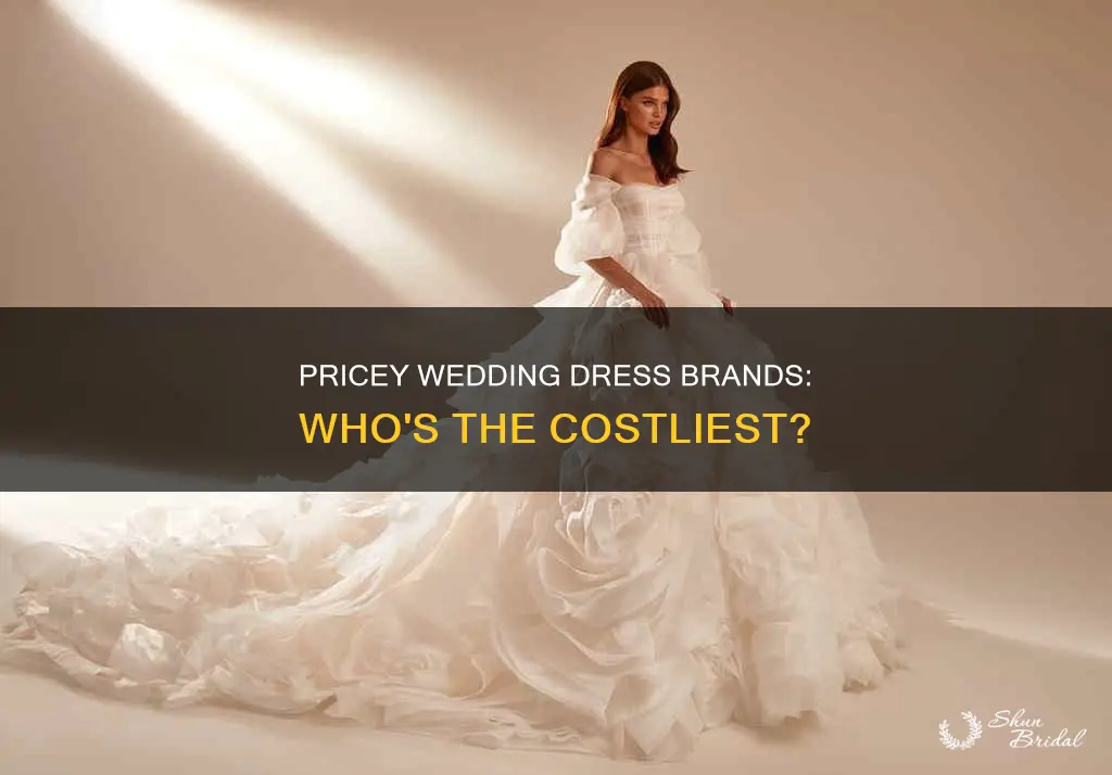 what is the most expensive wedding dress brand