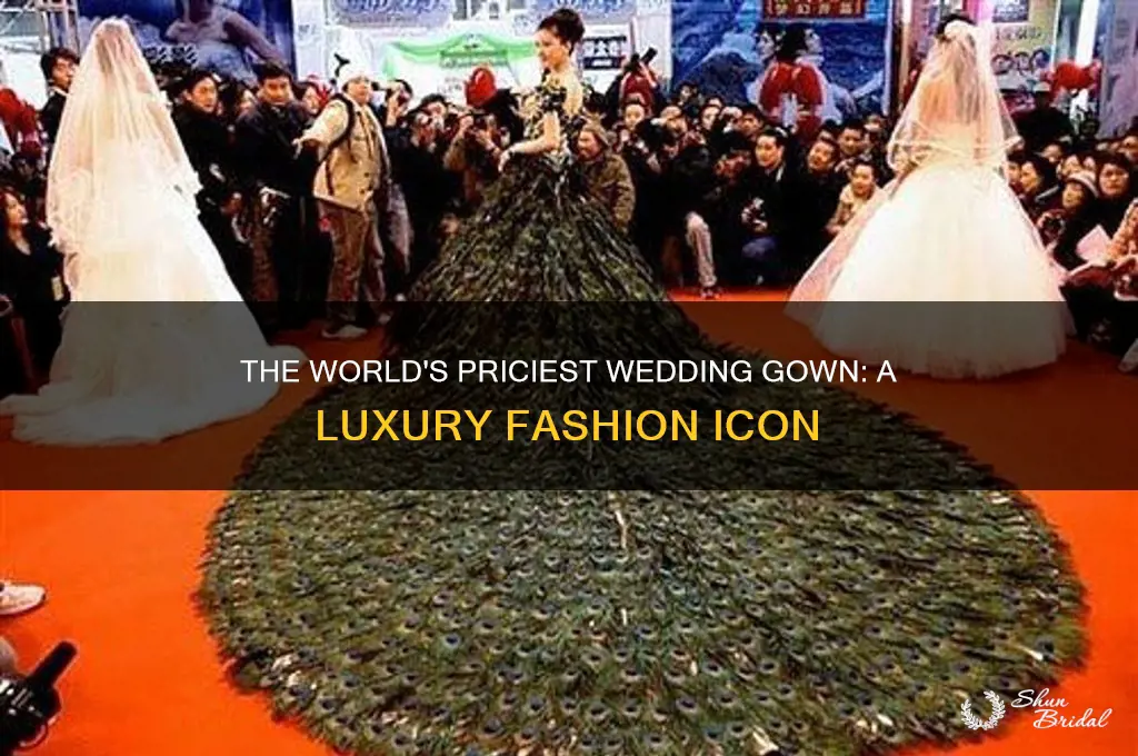 what is the most expensive wedding gown