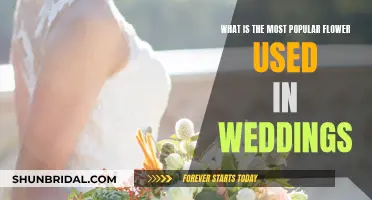 Trending Wedding Flowers: The Most Popular Picks