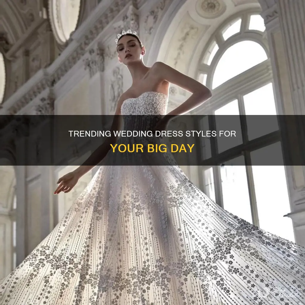 what is the most popular style of wedding dress