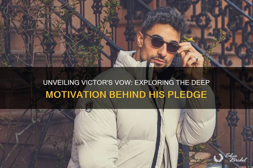 what is the motivation behind victor