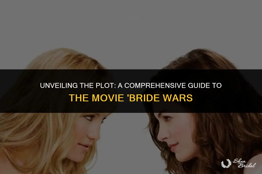 what is the movie bride wars about