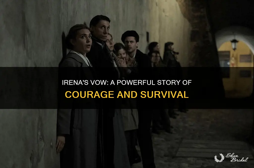 what is the movie irena