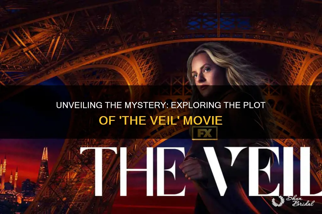 what is the movie the veil aboit