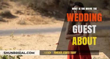 The Wedding Guest Movie: Plot, Characters, and Themes Explained