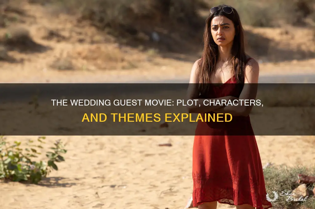 what is the movie the wedding guest about
