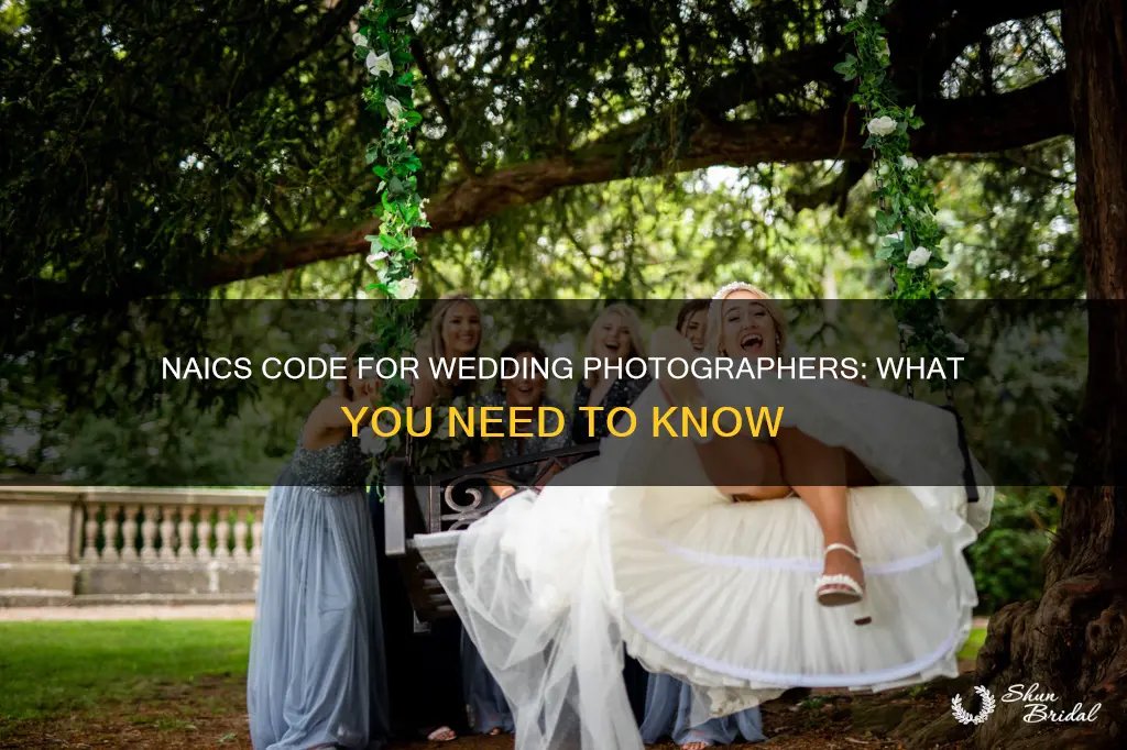 what is the naics code for wedding photographers