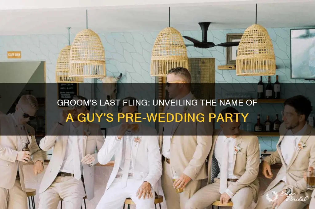 what is the name of a guy pre wedding party