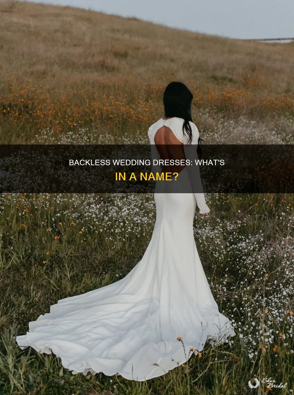 what is the name of backless wedding dresses