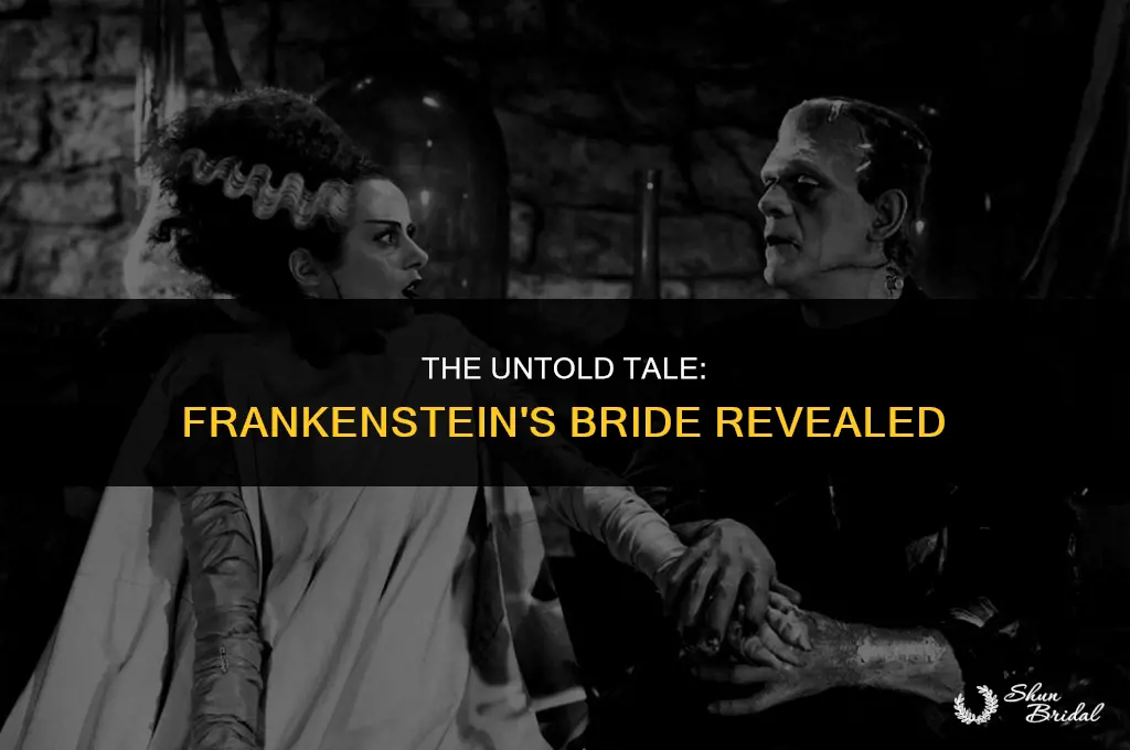what is the name of frankenstein