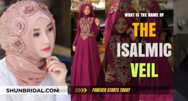 Understanding the Islamic Veil: Names, Styles, and Cultural Significance