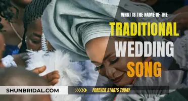 Exploring Cultural Traditions: The Joyful Wedding Song Names
