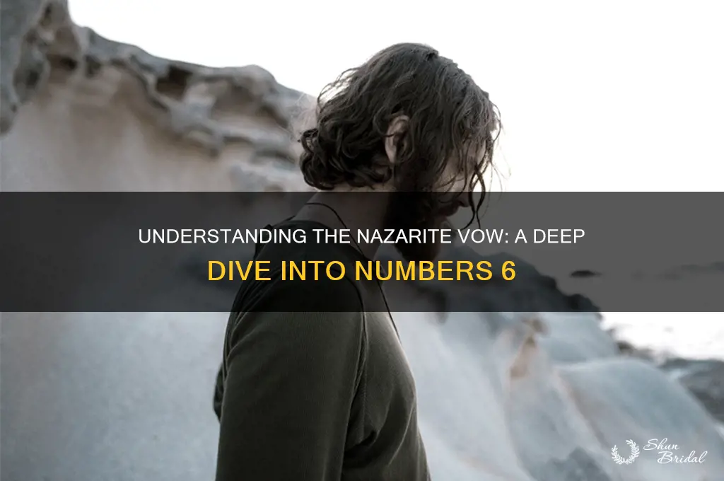 what is the nazarite vow in numbers 6