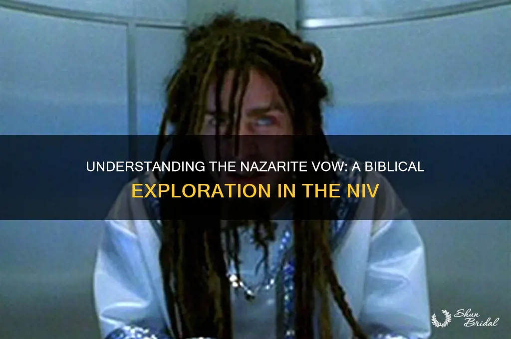 what is the nazarite vow niv bibl