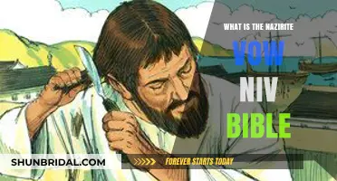 Understanding the Nazirite Vow: A Biblical Exploration in the NIV
